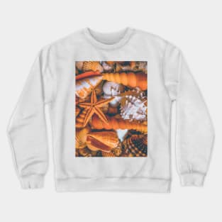 Seashell Sand Beach Summer Travel Sea Vacation Crewneck Sweatshirt